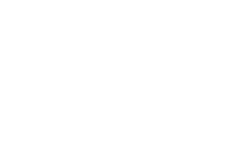 Liv Logo Options